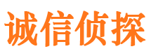 通州市私家侦探